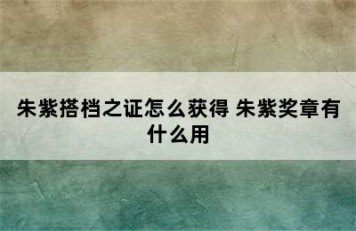 朱紫搭档之证怎么获得 朱紫奖章有什么用